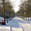 Kijkduinpark Winter Januari 2013