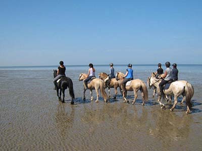 Paardrijden op het strand